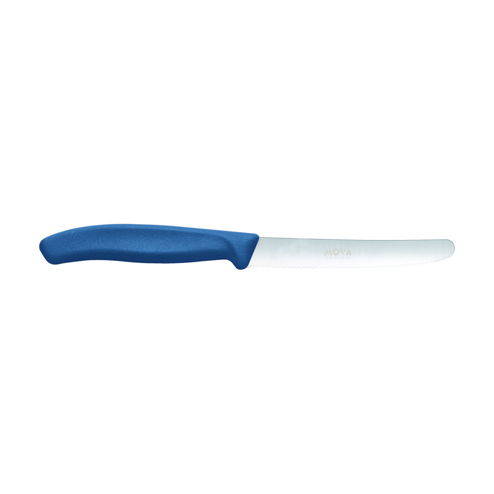Victorinox table knife Swiss Classic - Blue