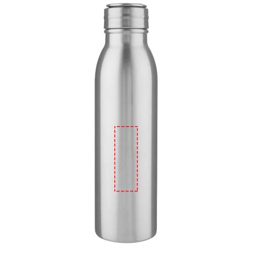 Harper 700 ml stainless steel water bottle with metal loop