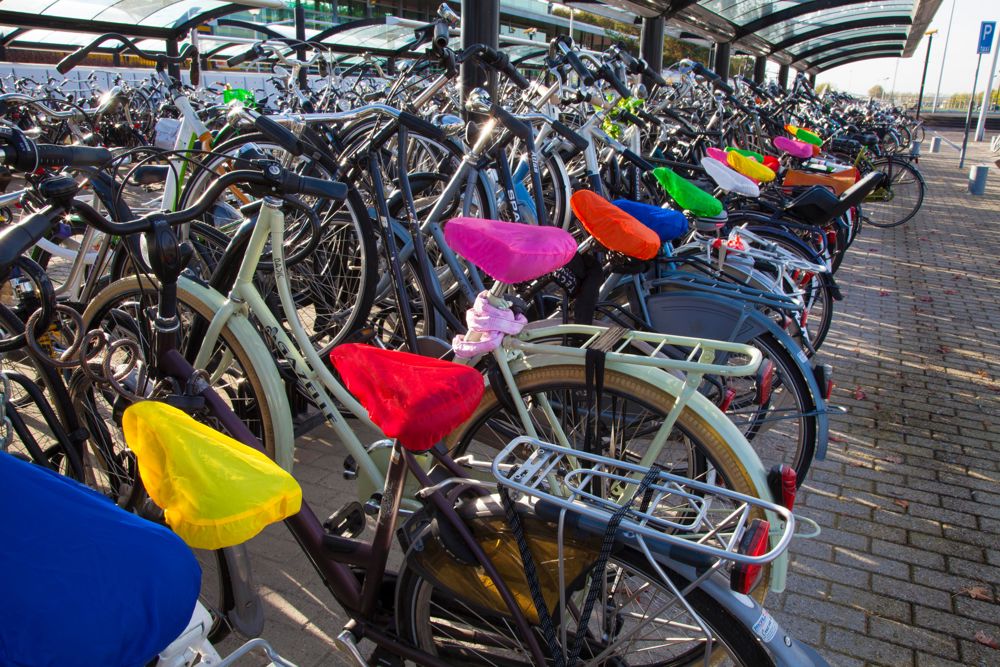 Bicycle seat cover Xander | Polyester